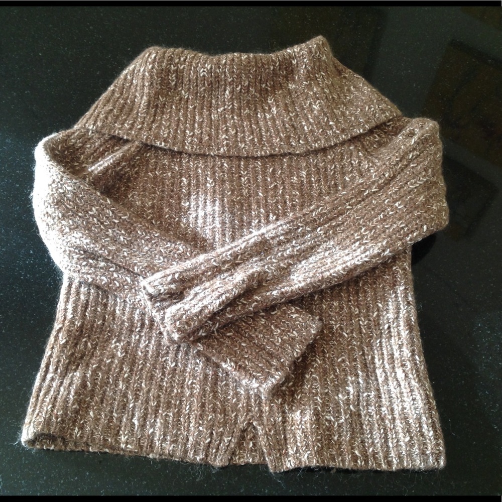 Dana Buchman Cowl Neck Sweater
